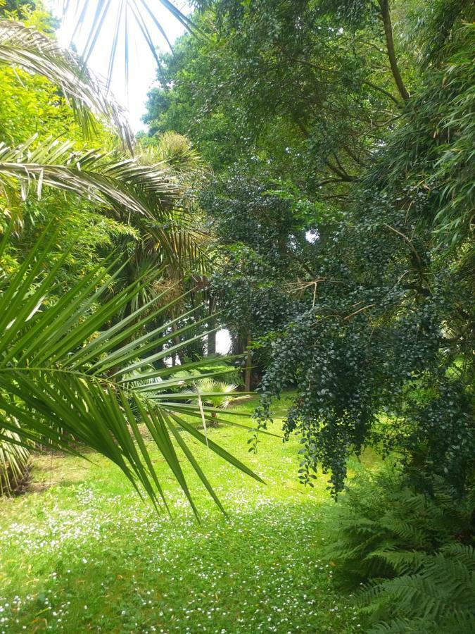Un Jardin En Pente Douce Villa Locquenole ภายนอก รูปภาพ